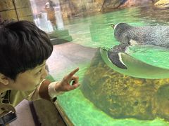 -哈尔滨波塞冬海底世界