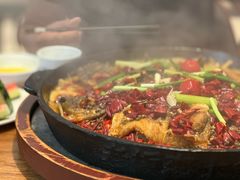 -老板恋上鱼(恒隆广场店)