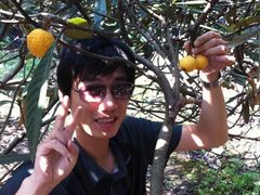 -塘栖枇杷特色园区