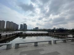 -洋湖国家湿地公园