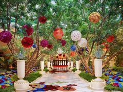 -拉斯维加斯永利酒店