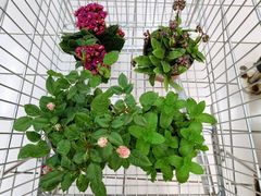 -大润发(勤业店)