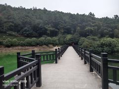 -九龙潭景区
