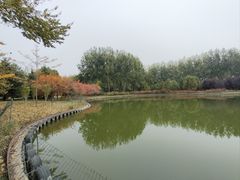 -仁和公园(顺义区)