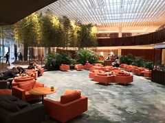 -北京望京凯悦酒店The Lounge大堂酒廊