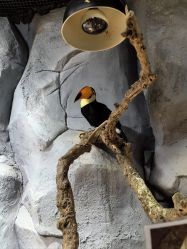 点击看大图 -Zoolung Zoolung动物主题公园(海信广场店)