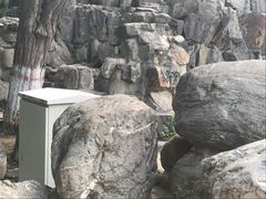-莲湖公园
