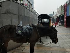 -南楚古都
