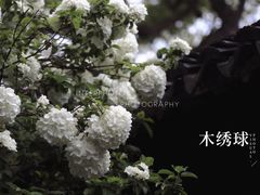-沧浪亭