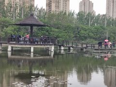 -前关湿地公园