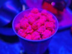 -星聚会KTV(上海徐汇西岸凤巢店)