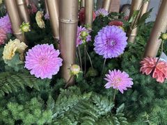 -浅深Cheersum(曹杨店)