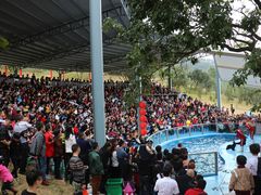 -泉州海丝野生动物世界