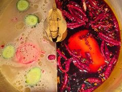 -小龙翻大江文化火锅(宽窄店)