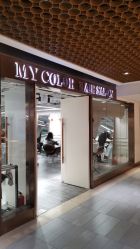 -MYCOLORHARSALON