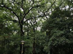 -灵谷景区