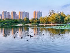 -太阳宫公园