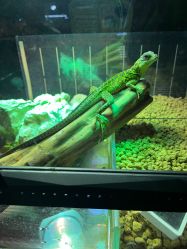 -酷嗒动物文化乐园(cutezoo西溪乐天城店)