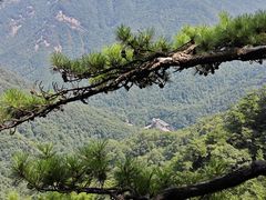 -安徽天堂寨风景区