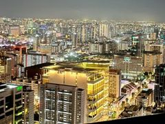 -新加坡瑞士史丹福酒店