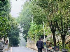 -青龙山国家森林公园
