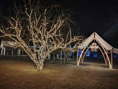 -春晖园度假酒店温泉