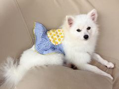 -怪兽屋·羊驼·猫咖·狗咖(俊华广场店)