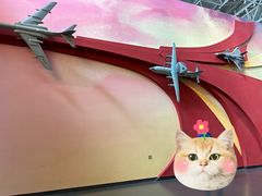 -中国航空博物馆