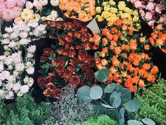 -双季花艺园艺市场(浦东店)