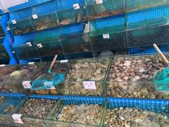水产区-叶姐海鲜(棋子湾店)