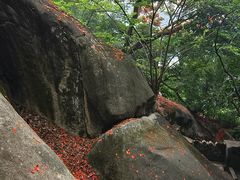 -云洞岩风景区