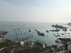 -枸杞岛