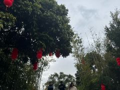 -苏家围·东江画廊旅游景区