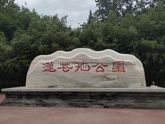 -莲花池公园