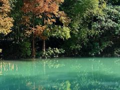 -桤木河湿地公园