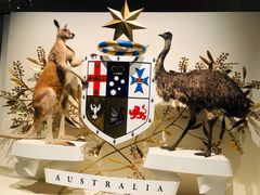 -墨尔本博物馆(Melbourne Museum)