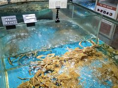 -徐记海鲜(阿波罗店)