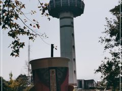 -茶颜悦色(岳麓山顶店)
