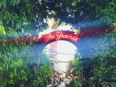 -The Grounds of Alexandria