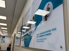 -美联众合爱康动物医院•复杂内科•肿瘤科•牙科•腔镜诊疗中心