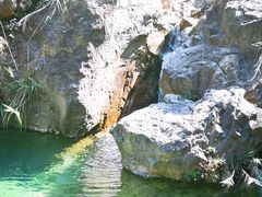 -南海湾森林生态园