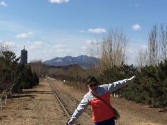 -永定河休闲森林公园