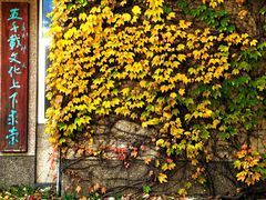 -婕妮璐超市 Jenny Lou’s Shop(三里屯店)