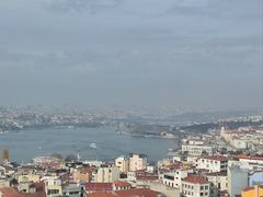-加拉达石塔