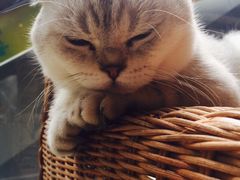 -MIKAKU(万达广场上海宝山店)