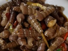 钉螺-莲花公园煎蟹(总店)