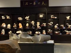 -中华赏石园