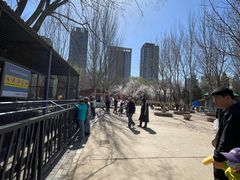 -长白岛森林公园