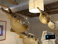 -玄品河豚(那覇國際通里之関)