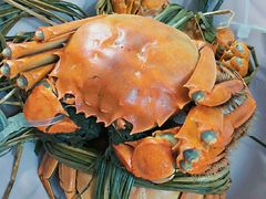 -浙C老邻舍(西城海错店)